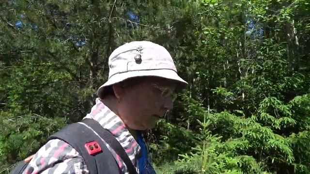 Поход в лес. 19 июня 2022. 1 часть. смотреть онлайн