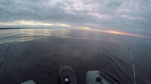 Ловля судака на Финском заливе