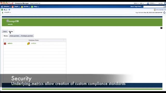 aidev mongoDB monitoring plugin for Oracle EM: security смотреть онлайн