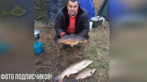 Новые секреты ловли карпа в июне! Поймает много даже новичок! Как на что и где ловить карпа в июне?