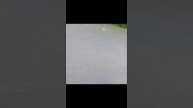 друк смотреть онлайн