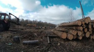 Работа самодельного манипулятора для леса на МТЗ-82