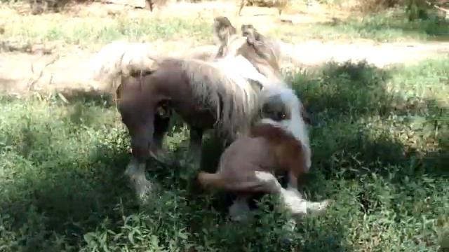 MOV08264.MPG смотреть онлайн