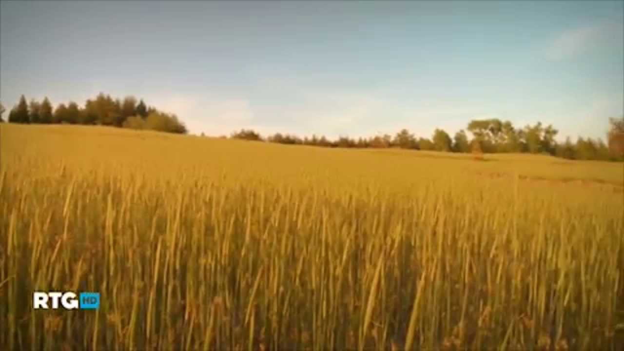 Край, ты наш привольный смотреть онлайн