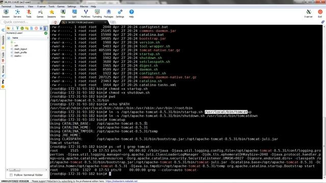 Setup & configure Tomcat on EC2 instance | Tomcat server setup смотреть онлайн