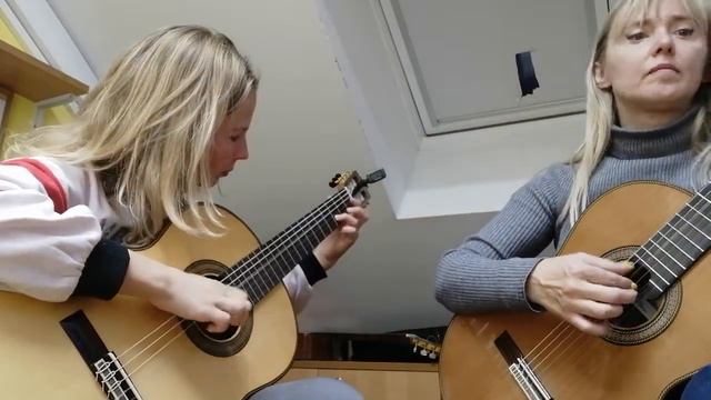 A. Popp "Love is Blue (L'Amour est Bleu) - guitar duo смотреть онлайн
