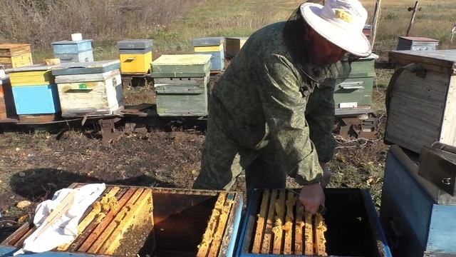 Рискованная сборка гнезда и тоннель для зимнего клуба. смотреть онлайн