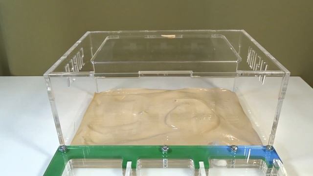 Создаю авторские формикарии ● Rus-Eng subtitle смотреть онлайн