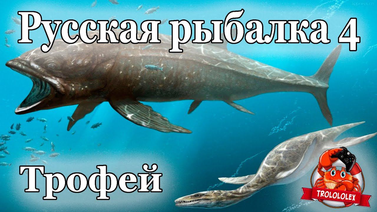 Русская рыбалка 4 Тянем чтото из глубин Трофей Норвежское море смотреть онлайн