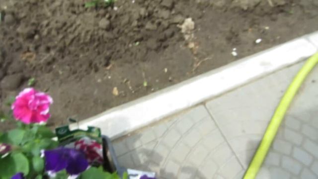 УРА ! ВЫСАЖИВАЮ ПЕТУНИЮ В ГРУНТ. смотреть онлайн