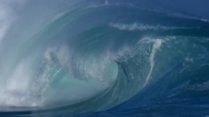 ФЕДОР КОНЮХОВ. НАЕДИНЕ С МЕЧТОЙ