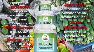 азофоска удобрение инструкция по применению