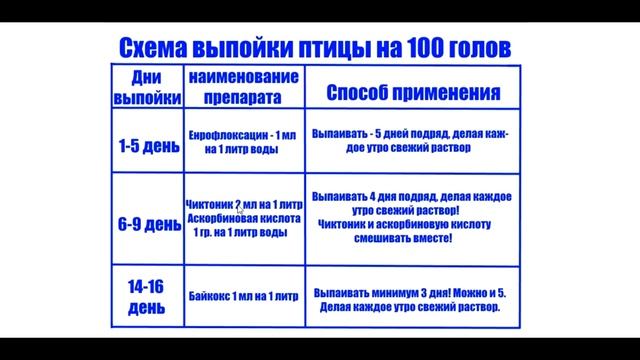 Выращивание бройлеров / Пошаговая инструкция по выращиванию бройлеров