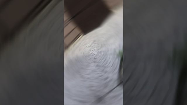 Предлагаем полюбоваться подборкой наших работ по Печатному бетону ?