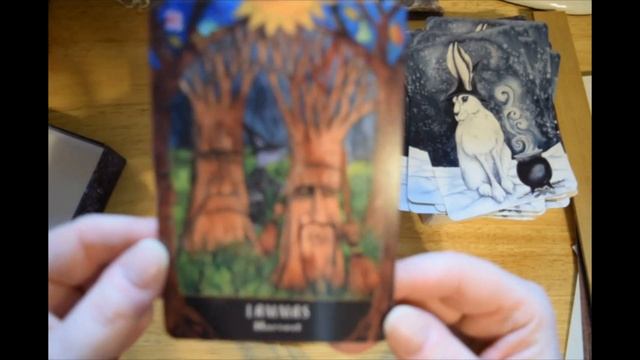 White Hare Wisdom Oracle Cards Unboxing смотреть онлайн