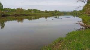 Голавль на Корку Хлеба.1,760гр.Мой Новый Рекорд.Как Это Работает.Ловите Мои Лайфхаки и Позитив