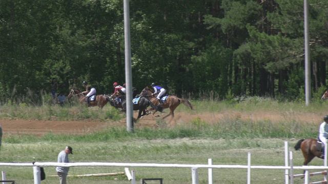 Конно-Спортивная школа Тулпар Конкур самых красивых девушек Сабантуй 2021 H2320009 смотреть онлайн