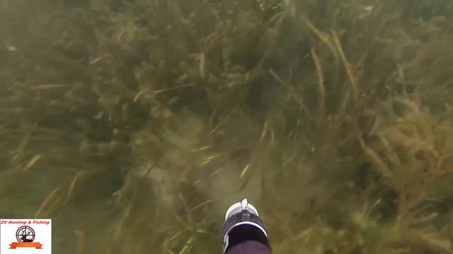 Щука 2. Pike 2. смотреть онлайн