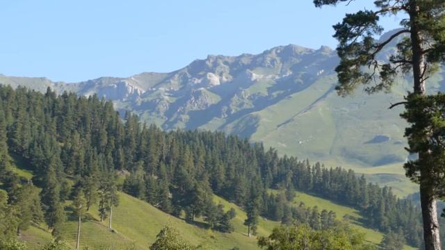 7 Кавказ 2010 Стих Кизгич 1440х1080 смотреть онлайн