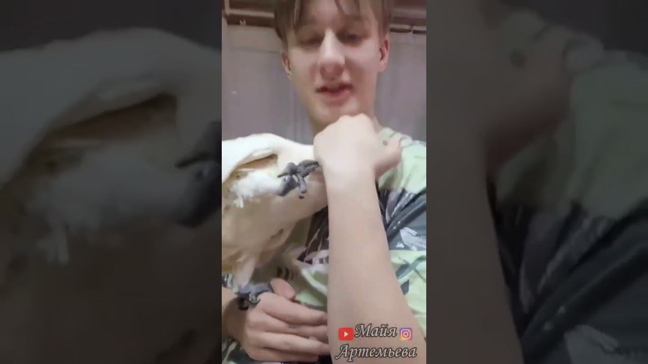 Любовь, похожая на сон!