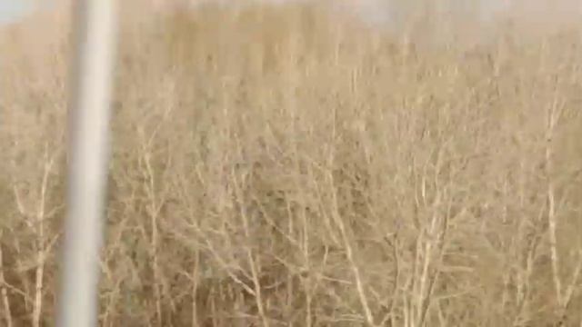Дорога Экибастуз - Павлодар смотреть онлайн