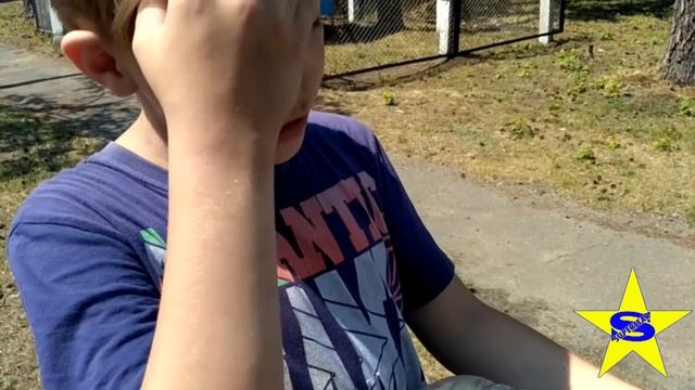 ЯЩЕРИЦЫ смотреть онлайн