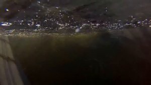 Ловля зубатки на Белом море подводная съёмка