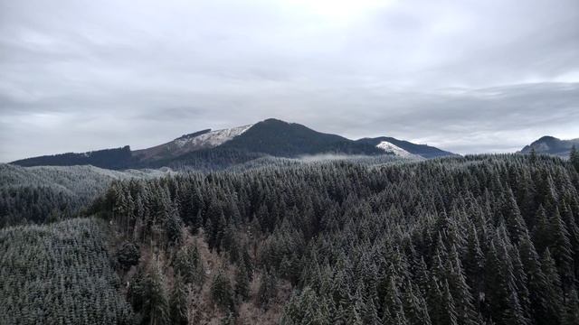 Oregon Coast Range after ice storm: Autel Evo Max 4N смотреть онлайн