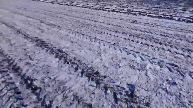 Селитра. Лучший способ внесения) смотреть онлайн