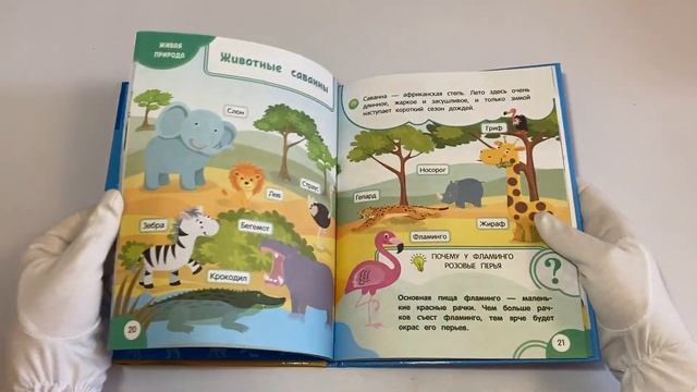 Моя первая книга открытий: для детей от 3-х лет смотреть онлайн