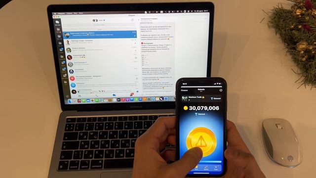 Пасхалка в NOT Coin. Что дают Scin?