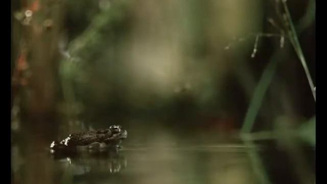 Супер муха/Super Fly смотреть онлайн