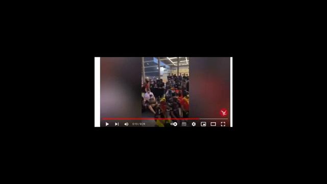 ?Une assemblée de chiens (trans-espèces) à Berlin. Que l'Éternel nous garde!!!?♂️ смотреть онлайн