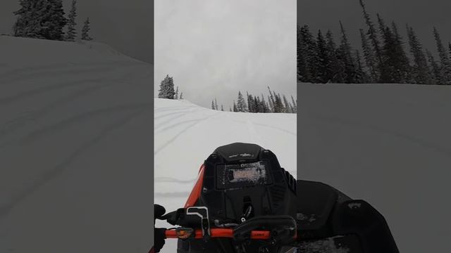 Point of view of the wheelie monster! 2023 #Lynx #Shredder #RE #Turbo Day 13 (1/8/2023) смотреть онлайн