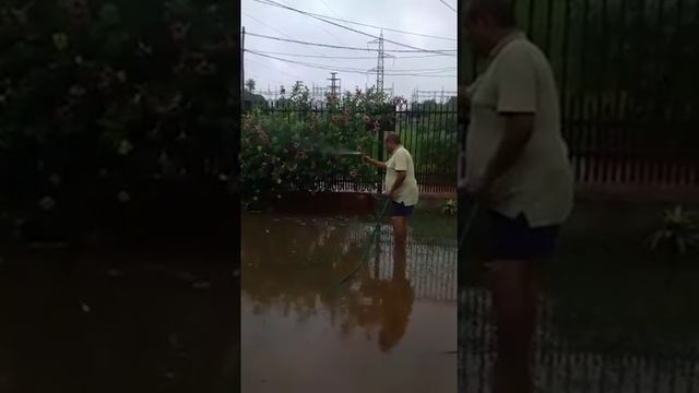 Поливает цветы смотреть онлайн