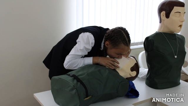 Открытие центра "Точка роста" в МОУ "Сельцовская СОШ" Волосовского района Ленинградской области смотреть онлайн