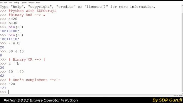 Bitwise Operator In Python in Hindi #4|Operator in Python | Interview Questions |2020 | SDP Guruji смотреть онлайн