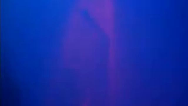 DJ VINI в клубе МЁД Ярославль смотреть онлайн