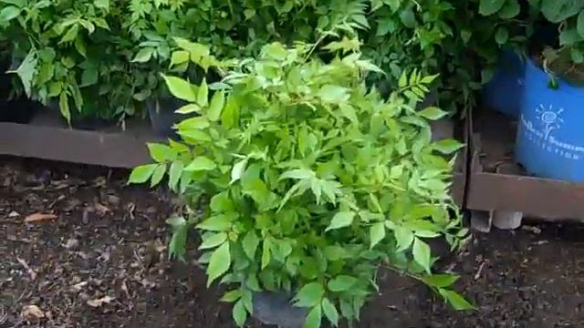 5 _13_ 15 Willoway Dock Video смотреть онлайн