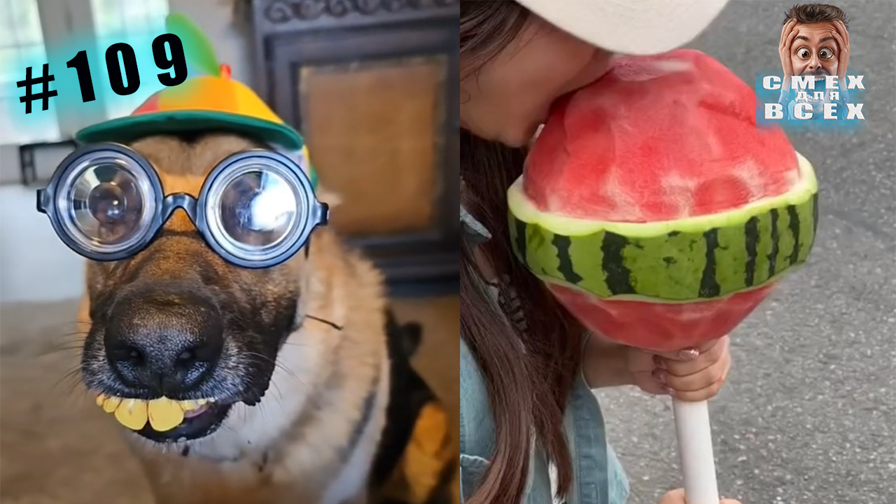 ПРИКОЛЫ 2023 СМЕШНЫЕ ВИДЕО ЧУДИКИ ИЗ ТИК ТОК №109 смотреть онлайн