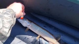 MISHIMO FAMILY LITE 335 норм лодка.