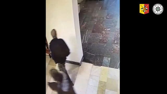 Кража из торговых автоматов в Праге