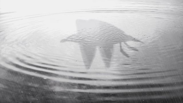 Алексей БЕЛОВ — НЕ ОТПУСКАЙ МОЕЙ РУКИ (Премьера клипа, 2020) смотреть онлайн