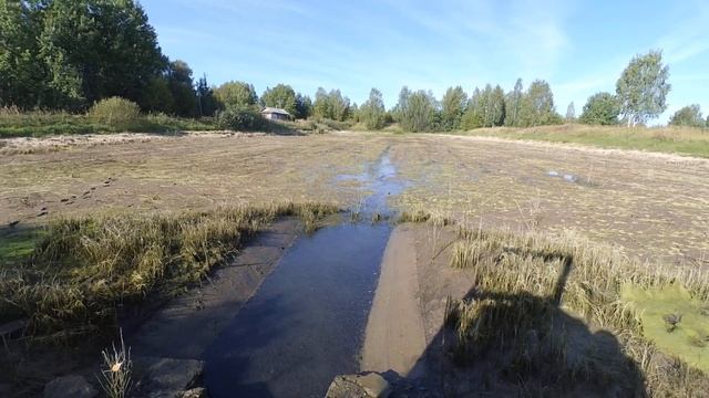 Карп и сазан в прудах . выращивание карпа . мальки карпа . смотреть онлайн