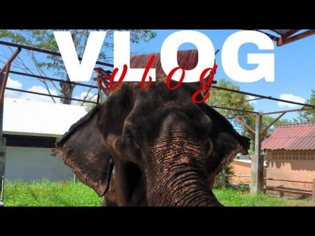 VLOG//4 часть! самый насыщенный день! развлечения в Тайланде смотреть онлайн