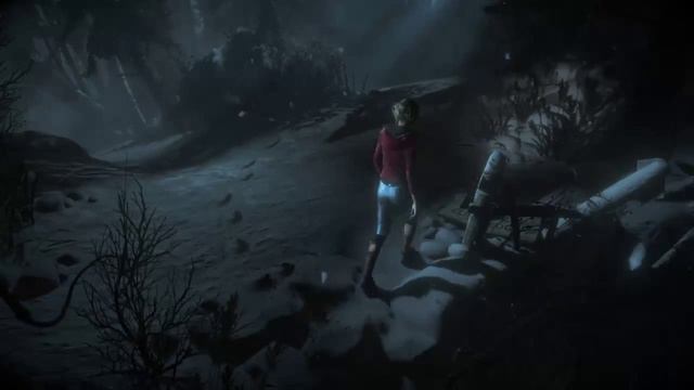 Until Dawn Save The Wolf