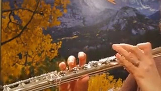 Yamaha 874 Flute for Sale (Used) - Upper Register Demo смотреть онлайн
