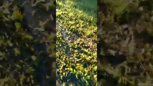 полный привод на великах смотреть онлайн