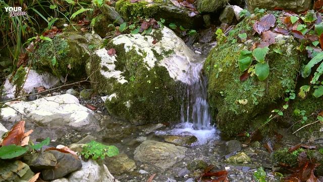 Чистый Горный Ручей. Быстрое Снятие Стресса и Тревоги! смотреть онлайн