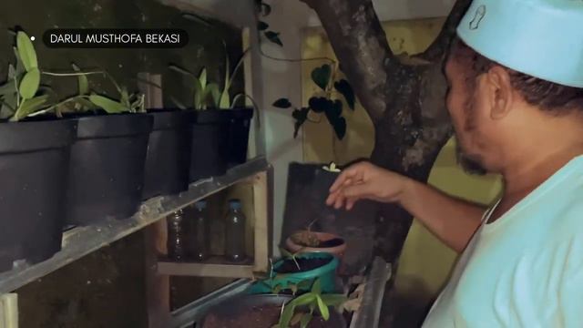 Melihat Tanaman Abuya KH.Hamzah Hamdani